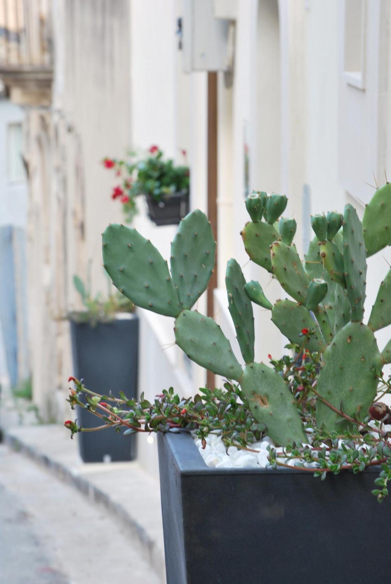 مبيت وإفطار راغوزا A Casa Di Grazia المظهر الخارجي الصورة